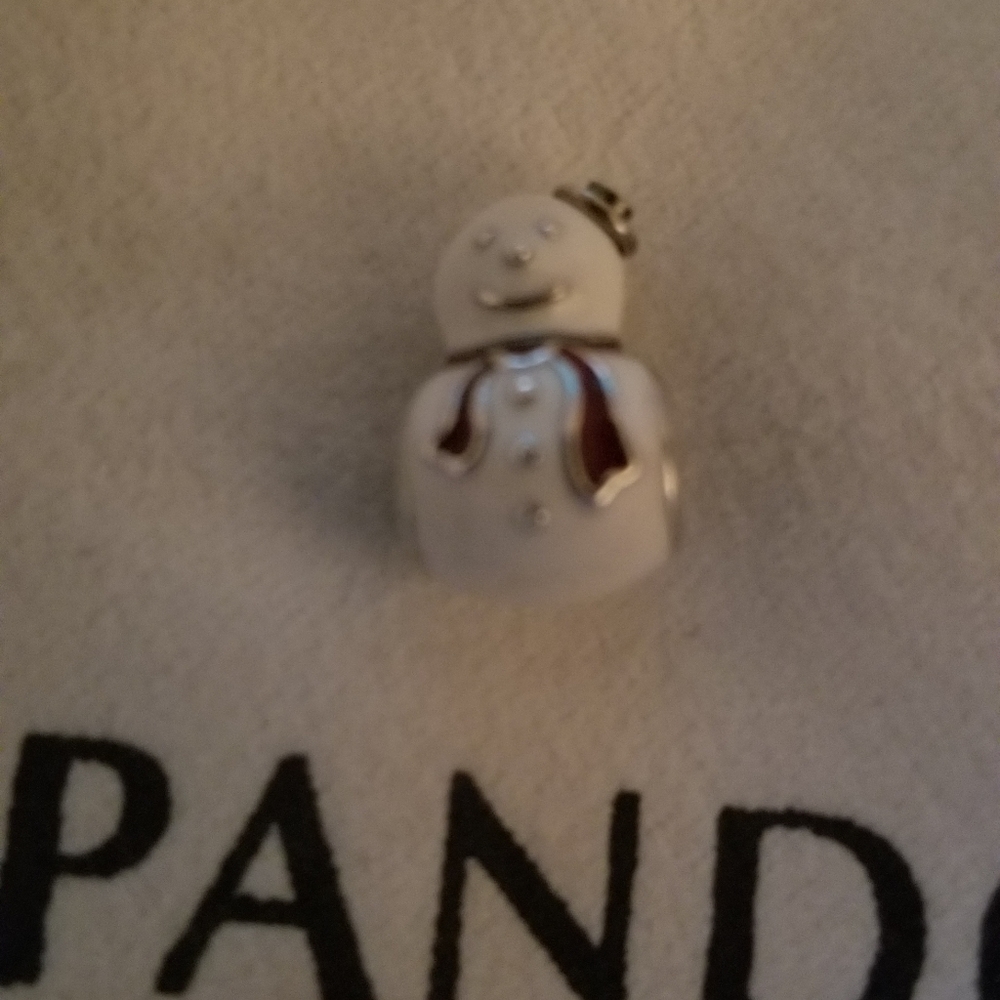 Authentic Pandora Charm